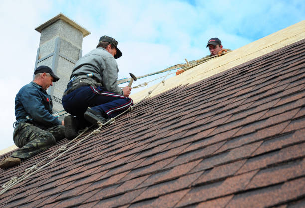 Roof Installation Near Me in Burnham, IL