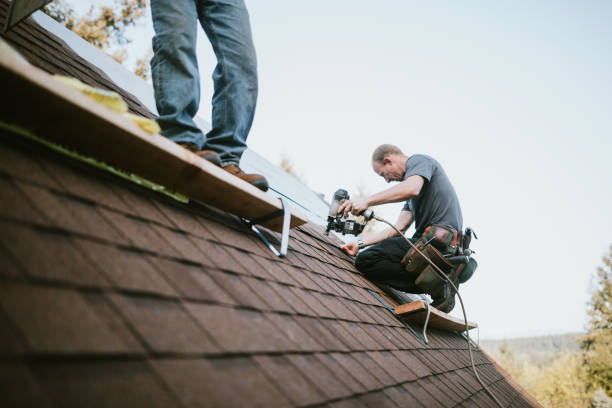Best Metal Roofing Contractor  in Burnham, IL