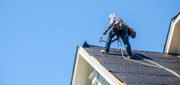 Best Storm Damage Roof Repair  in Burnham, IL
